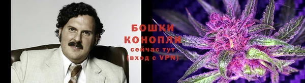 шишки Сосновка