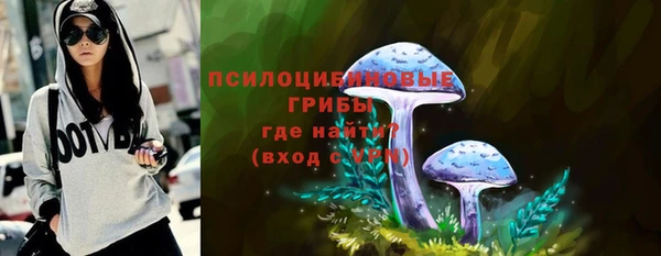 гашик Горно-Алтайск
