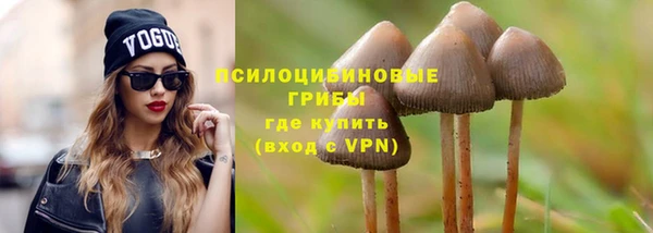 первитин Горняк