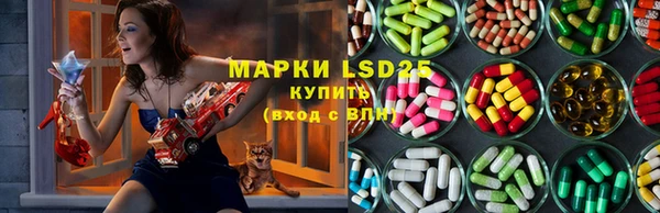 гашик Горно-Алтайск