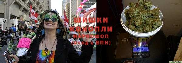 гашик Горно-Алтайск