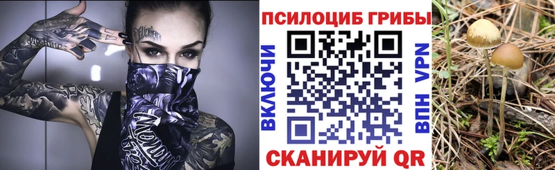 Псилоцибиновые грибы прущие грибы  сколько стоит  Чкаловск 