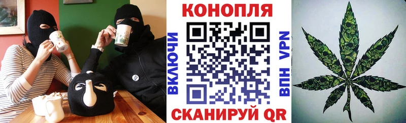 мега как зайти  Чкаловск  Конопля VHQ  сколько стоит 